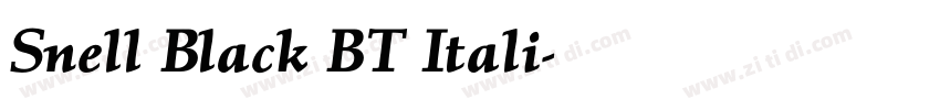 Snell Black BT Itali字体转换